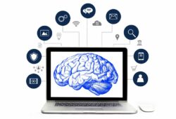 neuromarketing y marketing digital